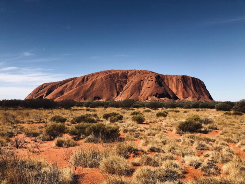 Expedited Specialist Pathway Australia GPs